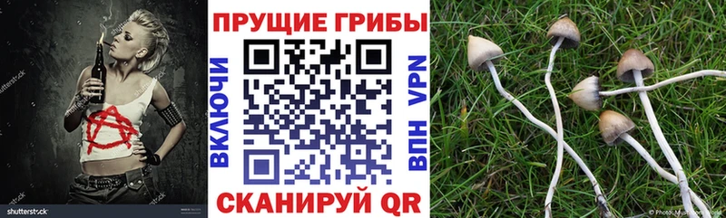 Псилоцибиновые грибы мицелий  omg зеркало  Духовщина 